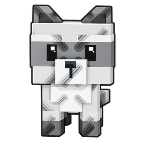 Raccoon